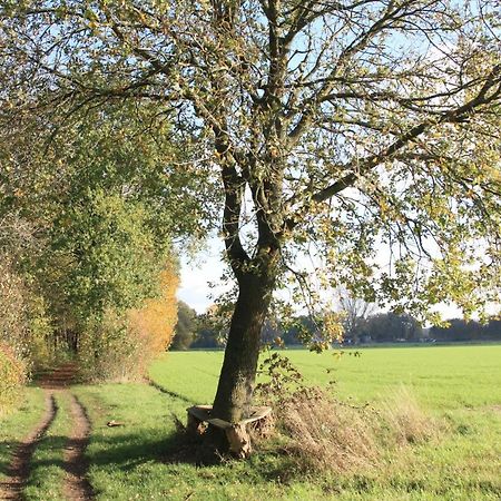 Ferienwohnung Bei Bunsel'S Versmold Eksteriør bilde
